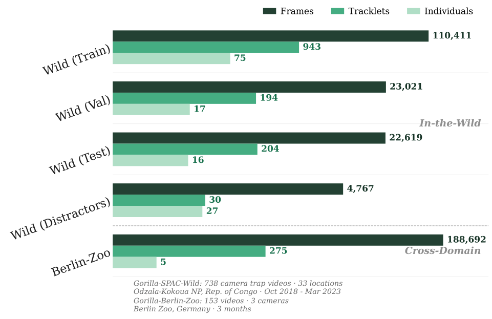 Dataset statistics and composition