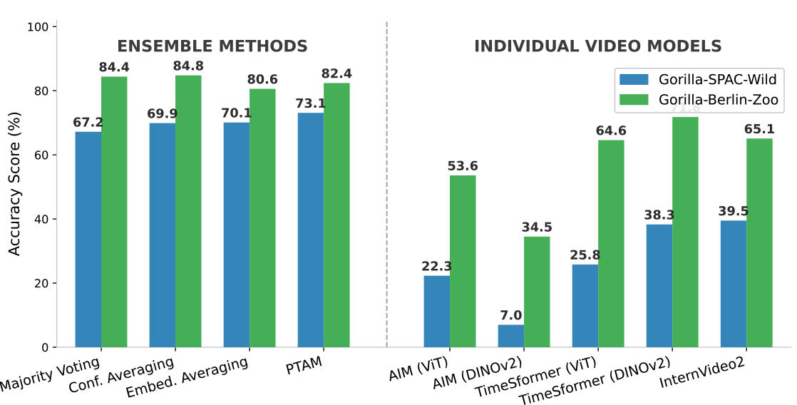 Ensemble methods vs video models comparison
